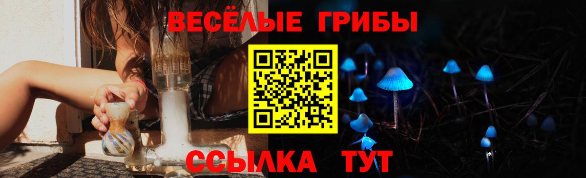 Галлюциногенные грибы Magic Shrooms  Псилоцибиновые грибы ЛСД  Вход с VPN  Тольятти 